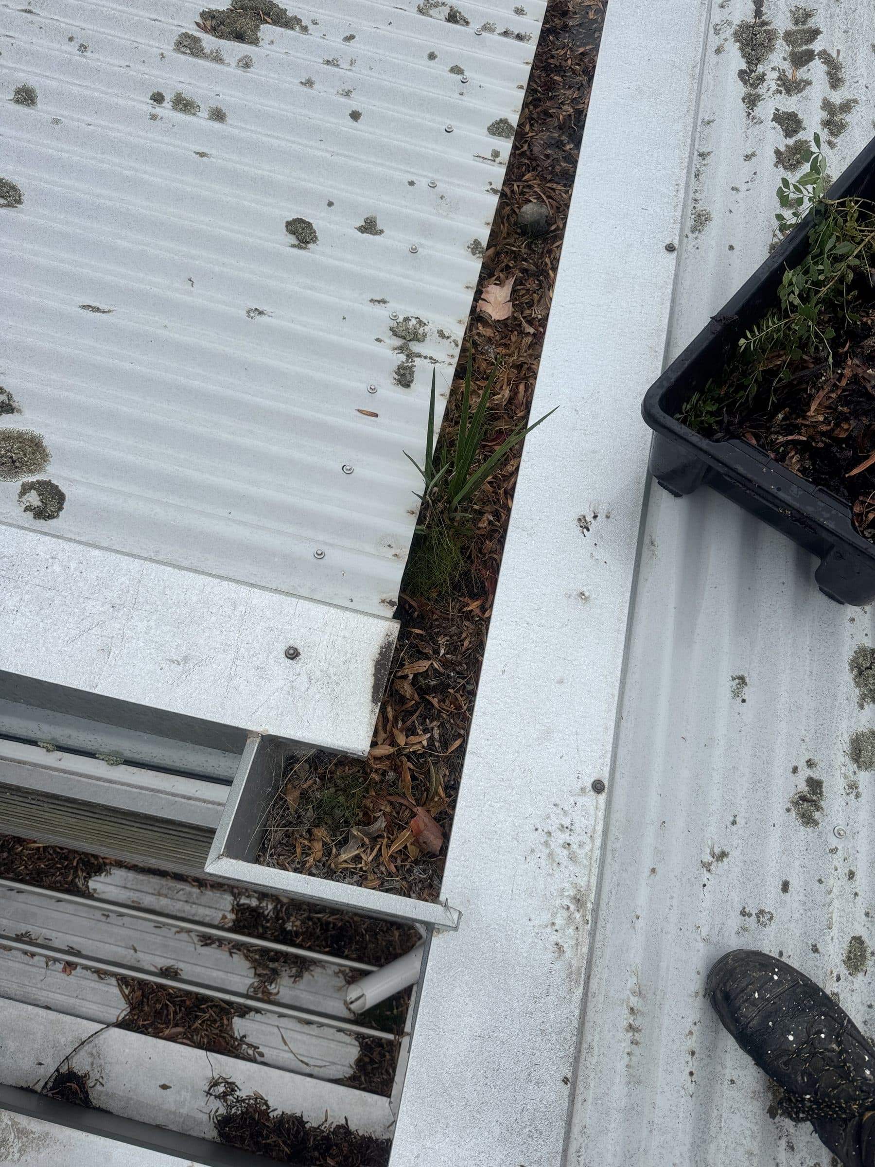 Gutter Cleaning