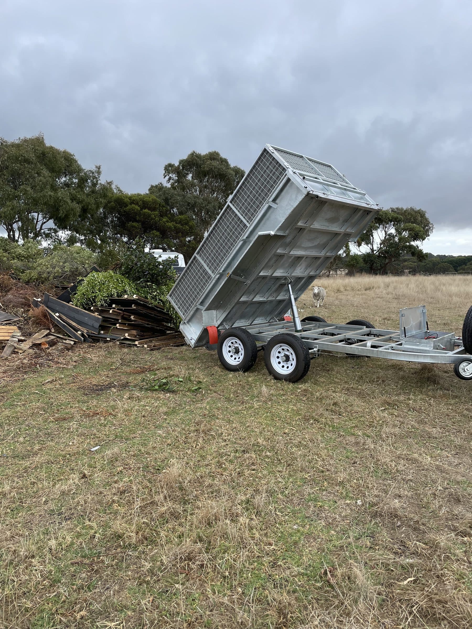 Outdoor Property Cleanup
