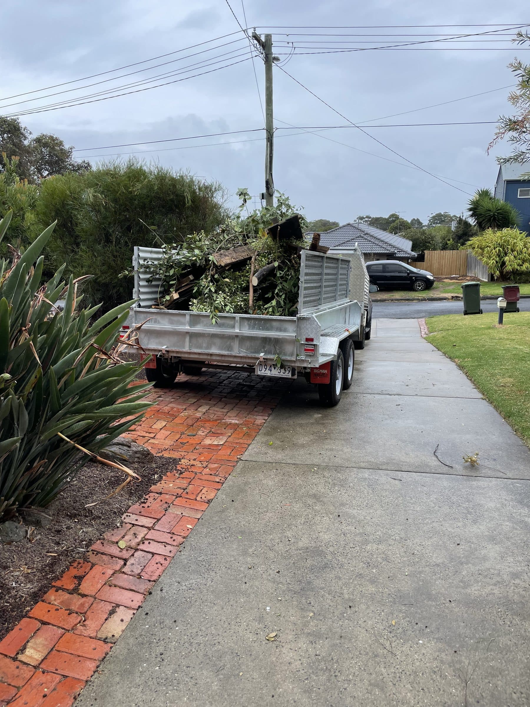 Tree Trimming & Outdoor Maintenance