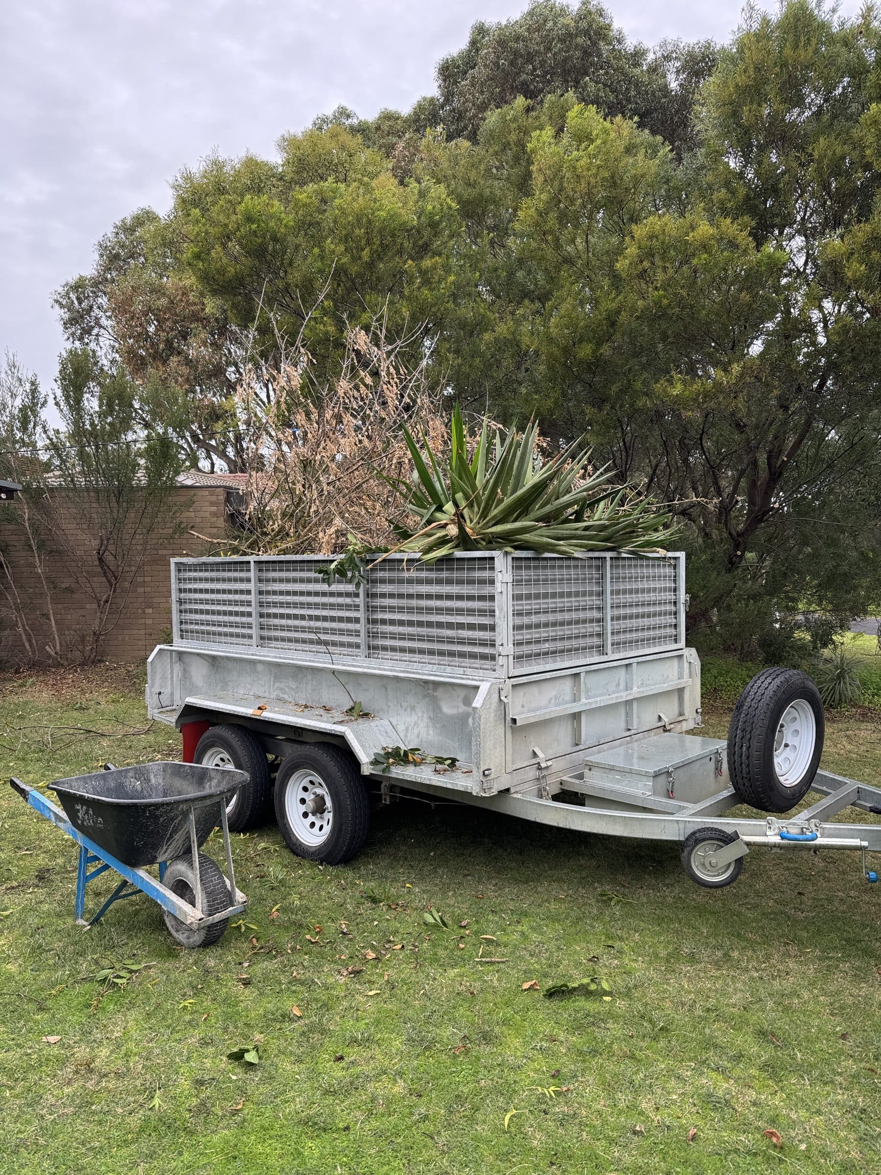 Tree Trimming & Outdoor Maintenance